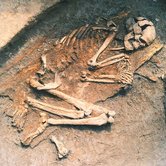skeleton of a man in a grave
