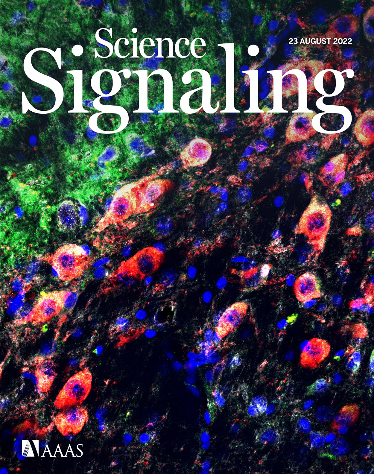 Go to Science Signaling information for authors